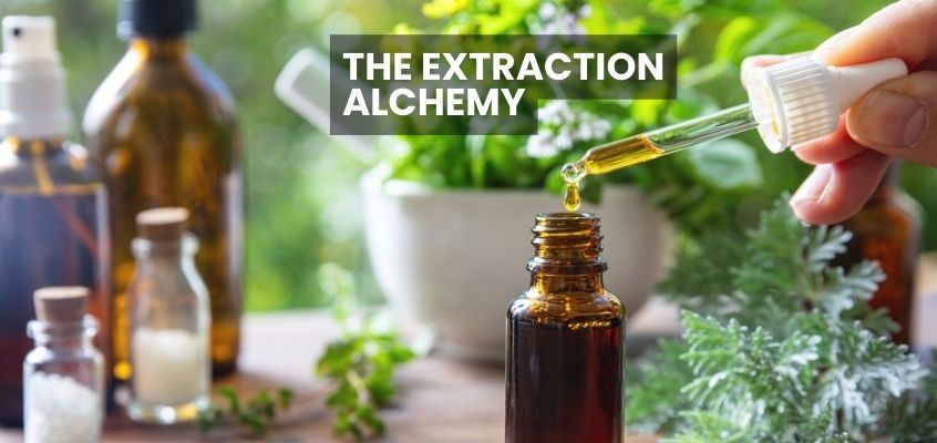 Fragrance Oils vs Essential Oils: Unveiling the Key Distinctions